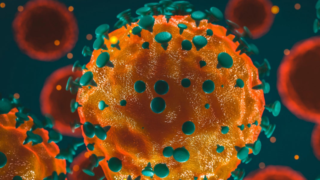 Koronavirüs tablosu 12 Ocak 2022