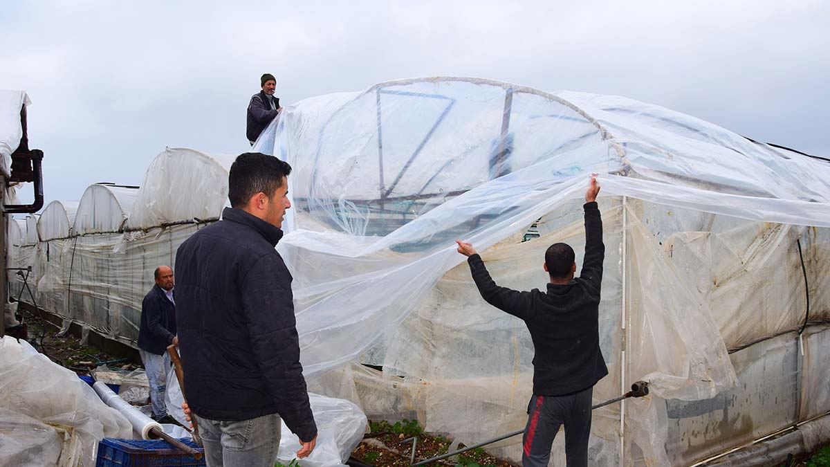 Kumluca'da 2 hortum seralara zarar verdi
