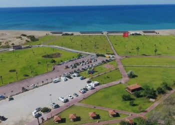 Kumsalın çim alana dönüştürülmesine tepki