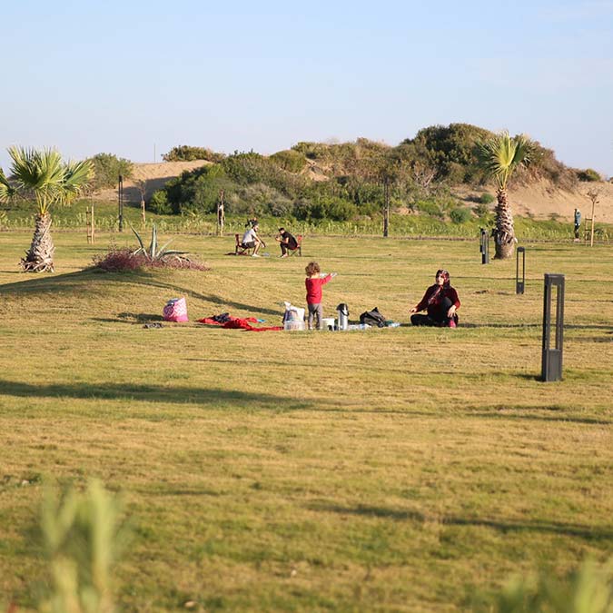 Kumsalın çim alana dönüştürülmesine tepki