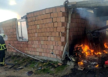 Lüleburgaz'da ağıl yangını; 10 hayvan öldü