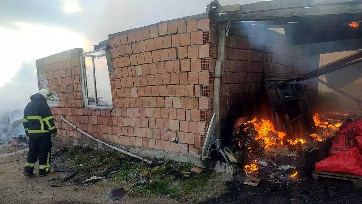 Lüleburgaz'da ağıl yangını; 10 hayvan öldü