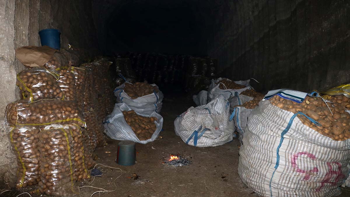 Sandıklı patatesi, Türkiye'nin dört bir yanına gönderiliyor