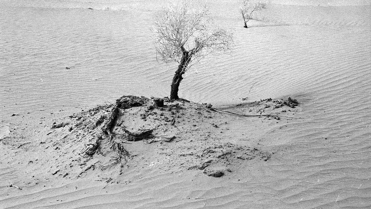 İpek Yolu'nda ve Zamanda Geriye Yolculuk