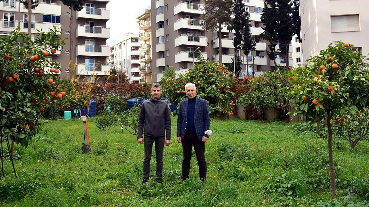 Mineralli jeotermal suyla gübresiz tarım