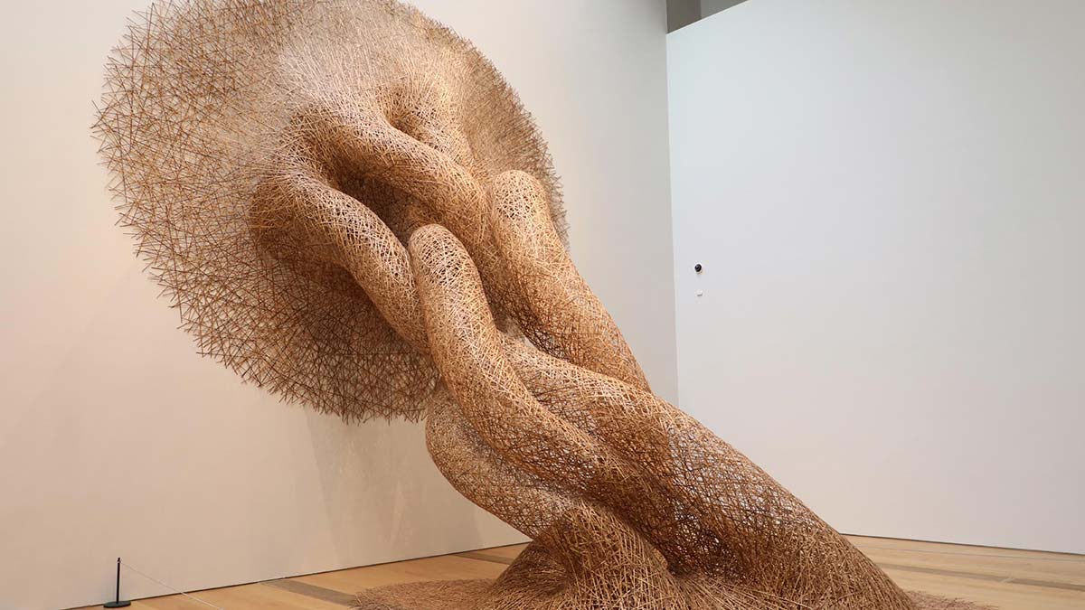 Odunpazarı Modern Müze 100 yılın en iyi 25 müze binası listesinde