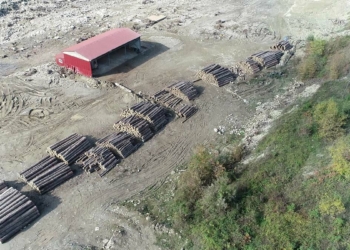 2021'de sıcaklık ve yağış rekorları kırıldı