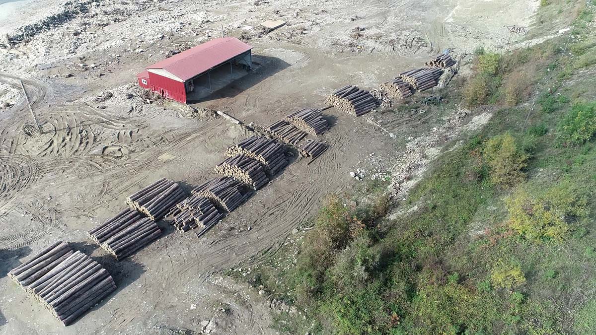 2021'de sıcaklık ve yağış rekorları kırıldı