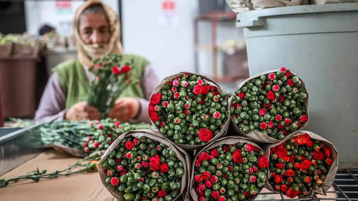 Türkiye'den 83 ülkeye yapılan süs bitkisi ihracatında 2022 yılı hedefi 500 milyon dolar olarak açıklandı.