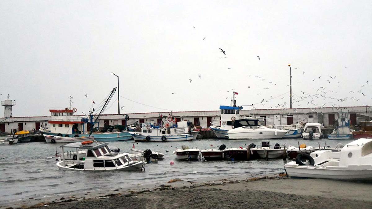 Tekirdağ'da kar yağışı ve fırtına
