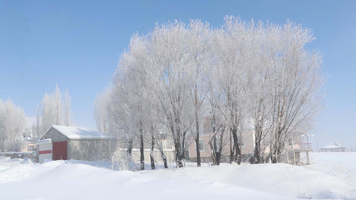 Türkiye'nin en soğuk yeri Çaldıran oldu