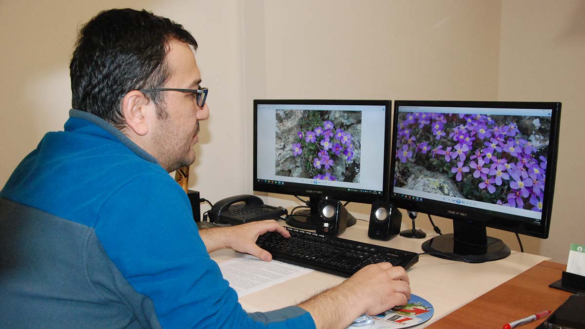 Yedigöller Milli Parkı'nda yeni bitki türü keşfedildi