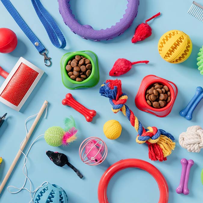 2021’in en popüler kedi ve köpek isimleri açıklandı; Köpek isimlerinde Tarçın, Hera ve Şila ilk üçü paylaşırken, Mia, Pamuk, Duman, Tarçın ve Badem ise en popüler kedi isimleri oldu.