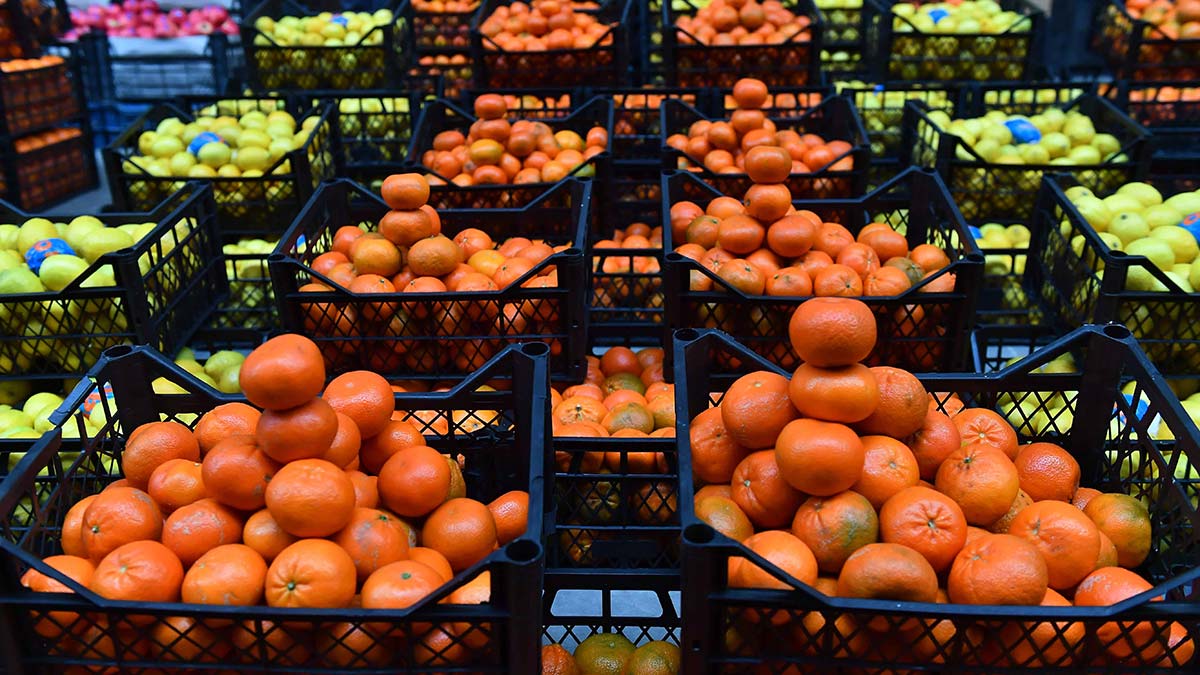 Başkentliler en çok mandalina tüketti