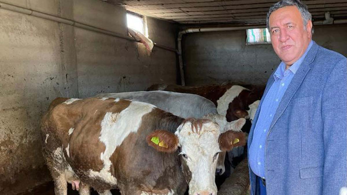 Sütün kaymağını aracılar yiyor