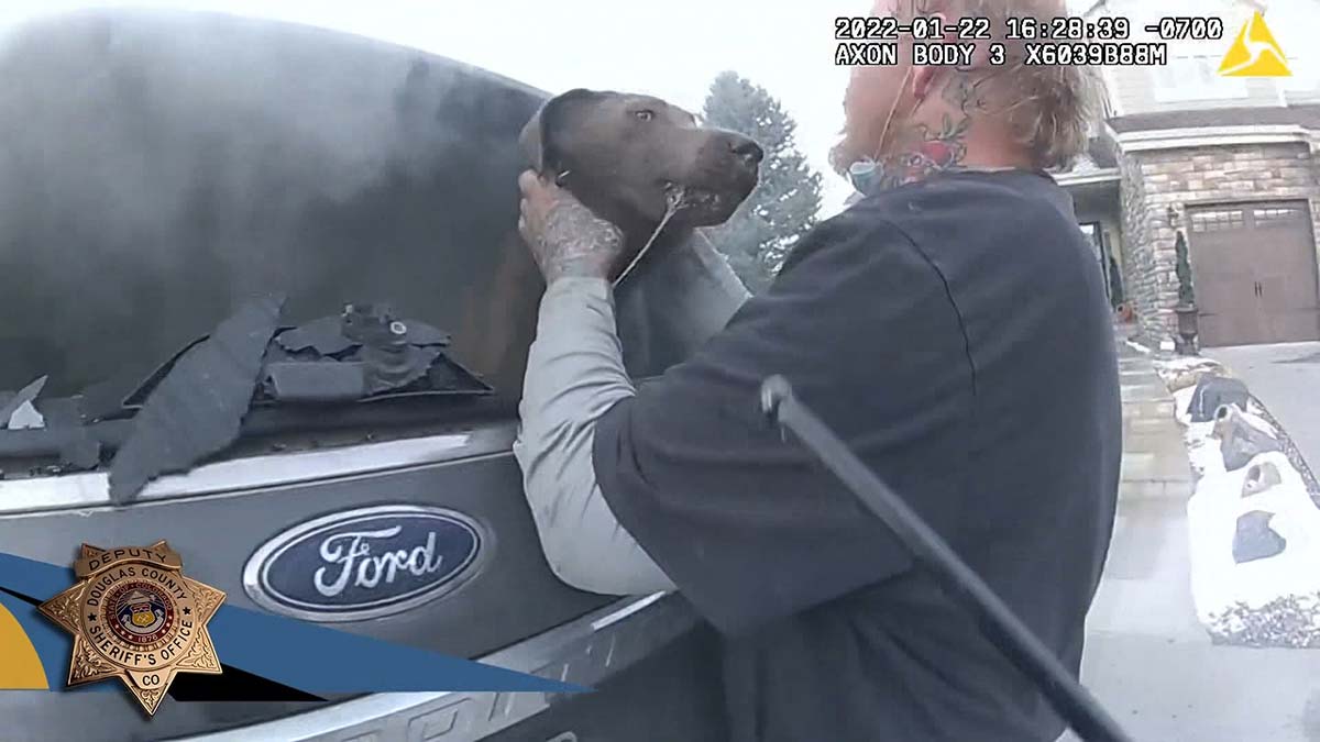 Yanan araçta mahsur kalan köpek kurtarıldı