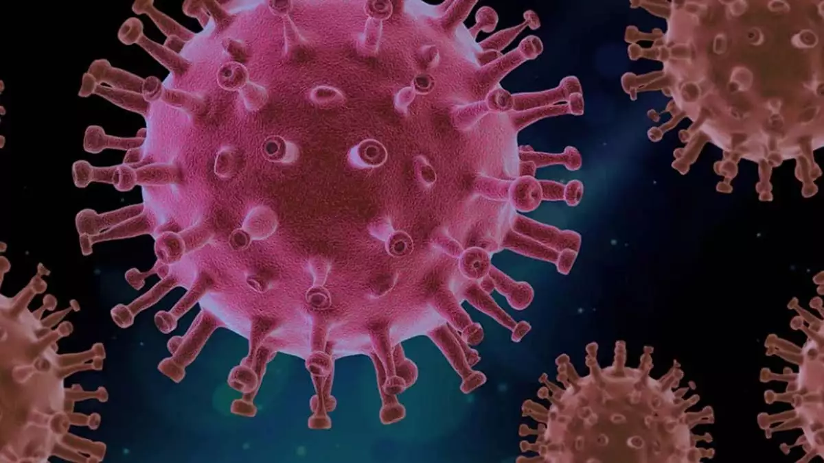 Koronavirüs tablosu 9 şubat 2022