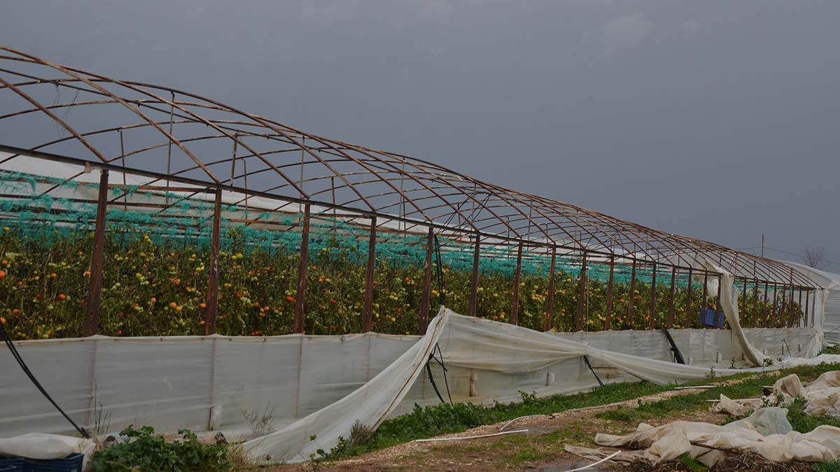 Hortum ve fırtına seraları yıktı