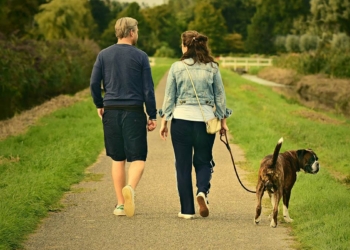 Köpeklerin dışkısı doğaya zarar veriyor