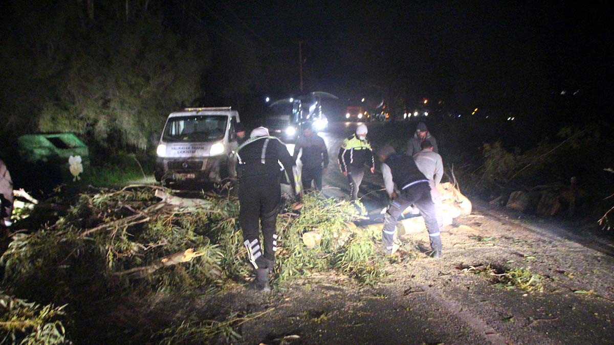 Muğla'da fırtına ağaçları devirdi