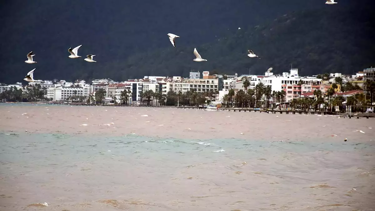 Muğla'nın marmaris ilçesindeki büyük orman yangını sonrası yağmurlarla oluşan erozyon riski ve deniz kirliliğine dikkat çekmek için harekete geçildi.