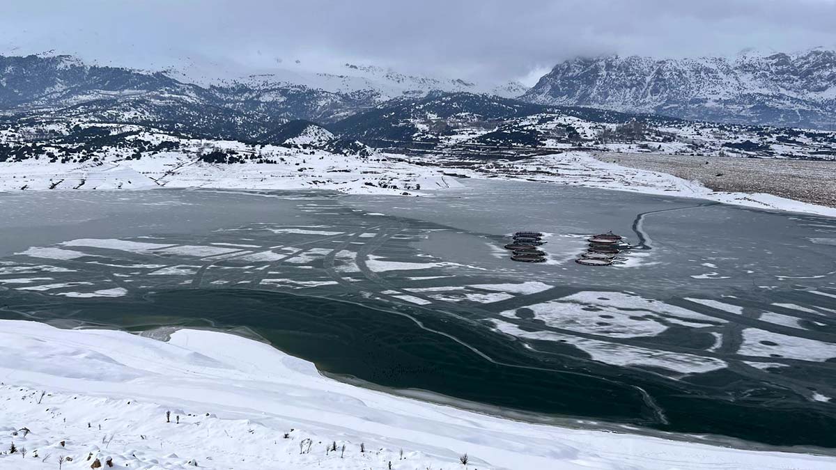 Çayboğazı Barajı buz tuttu