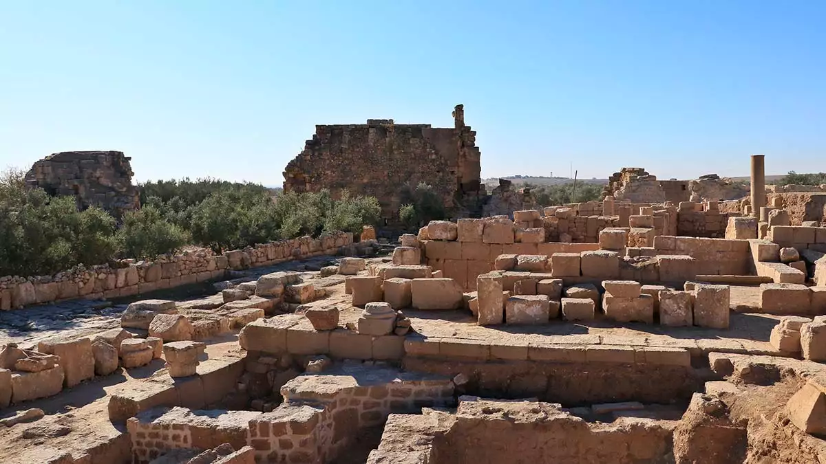 Dara antik kenti'nde zeytin kırma işleyeni bulundu