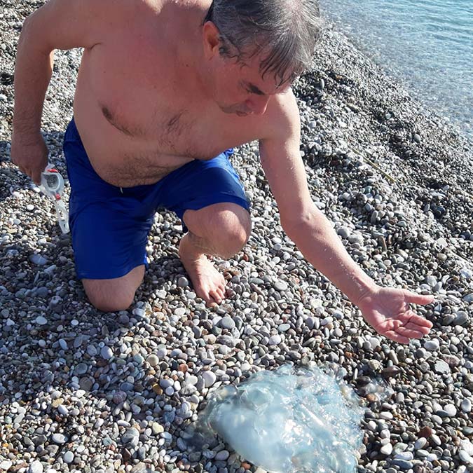 Denizanası çarpması durumunda temaslı noktaya su dökmeyin