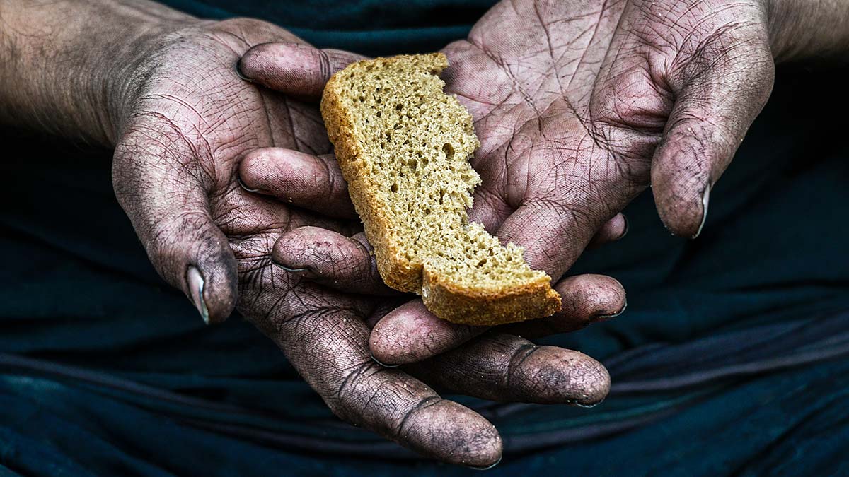 İnsanoğlunun yaşamı