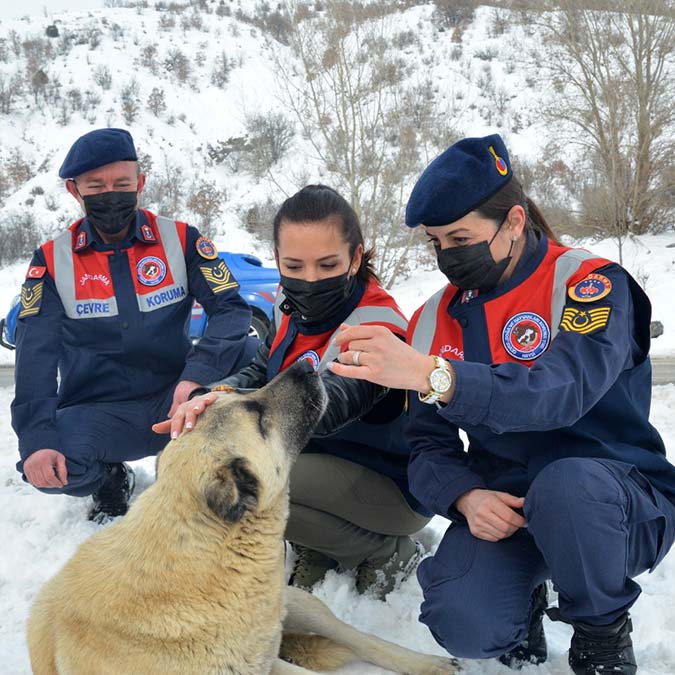 HAYDİ mobil uygulamasını 183 bin 100 kişi indirdi