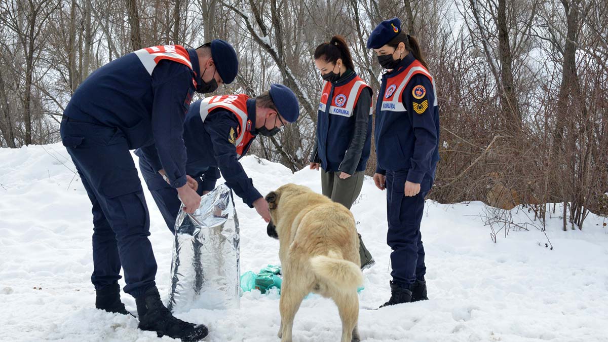 HAYDİ mobil uygulamasını 183 bin 100 kişi indirdi