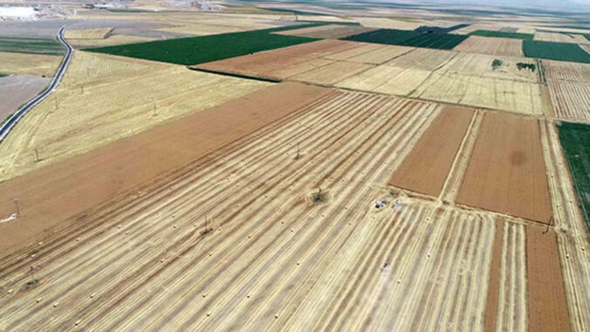 Hindistan'a rekor ihracat