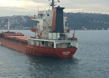 İstanbul Boğazı'nda arıza yapan gemi demir attı