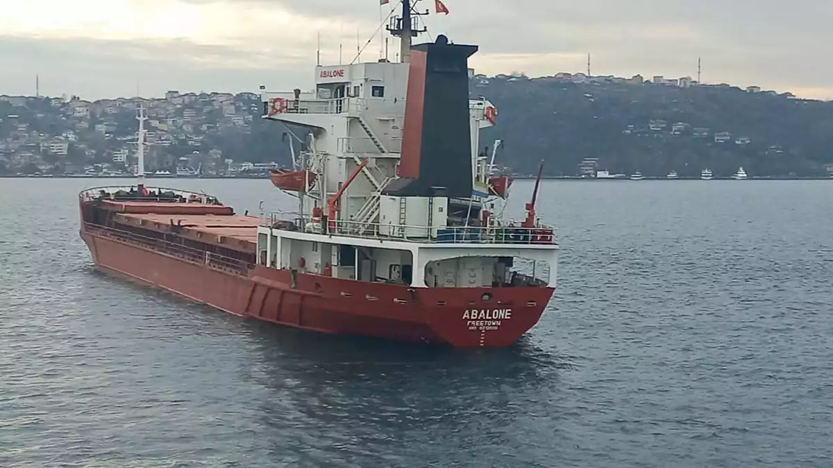 İstanbul boğazı'nda arıza yapan gemi demir attı