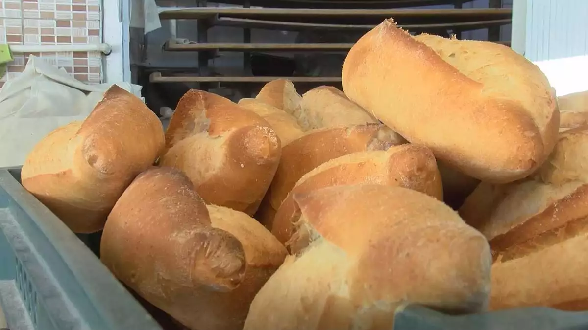 İstanbul'da zamlı ekmek satışı başladı, i̇bb, halk ekmek fiyatına yüzde 60 zam yaparak, 1,25 liradan 2 liraya çıkardı.