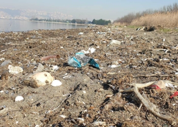 İzmit Körfezi sahili çöplüğe döndü