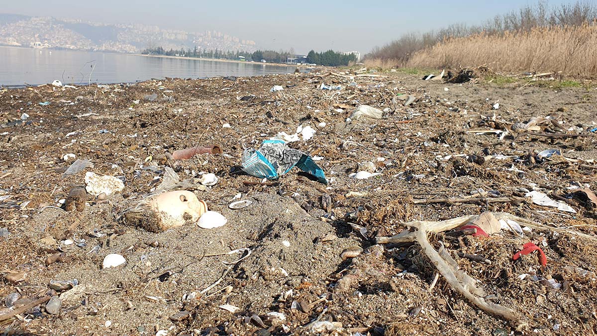 İzmit Körfezi sahili çöplüğe döndü