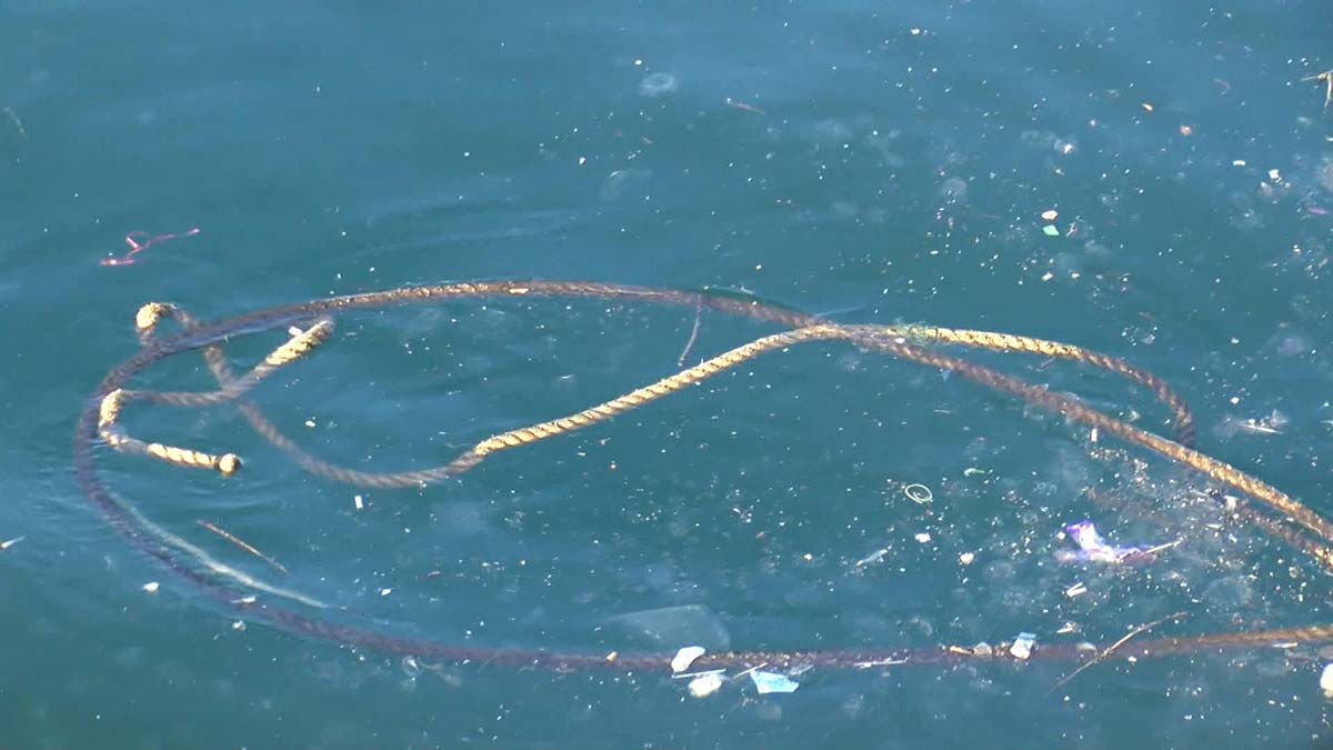 Denize düşen iki kadın kurtarıldı