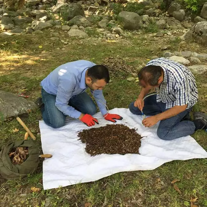 Kahramanmarasta yeni orumcek cinsi kesfedildi 4541 dhaphoto5 - yaşam - haberton