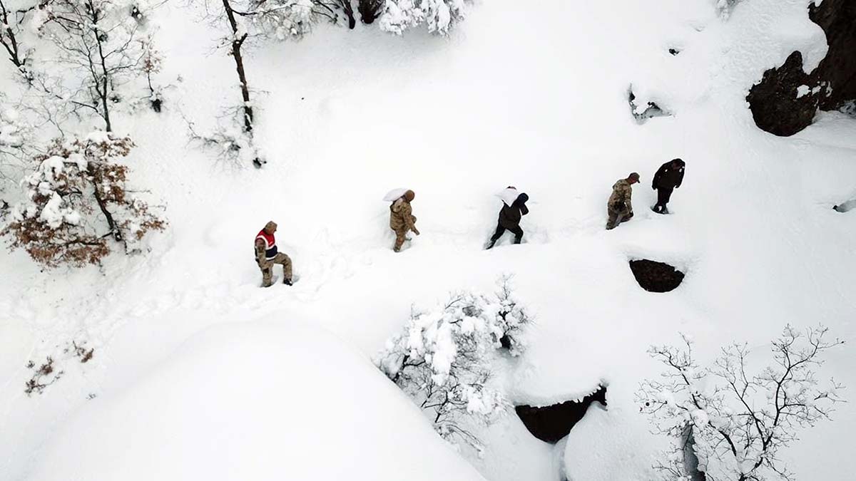 Yaban hayvanları için doğaya yem bırakıldı