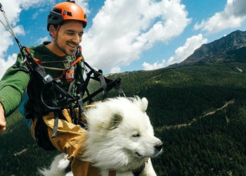 Film yönetmeni Shams, 1,5 aylık eğitimden sonra köpeği ile yamaç paraşütü yaptı.