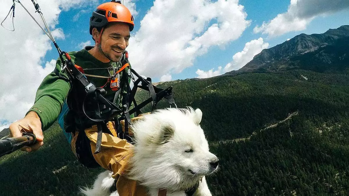 Film yönetmeni shams, 1,5 aylık eğitimden sonra köpeği ile yamaç paraşütü yaptı.