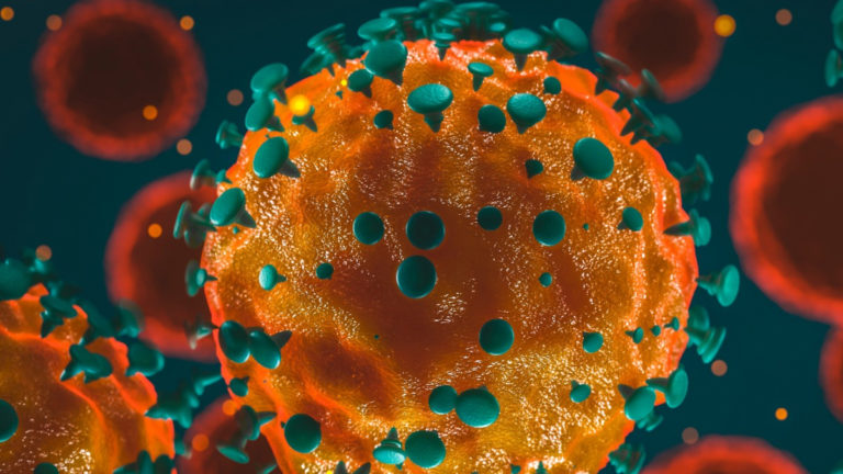 Koronavirüs tablosu 14 Şubat 2022