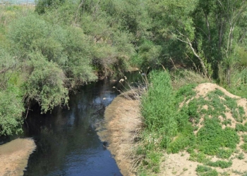 Gediz Nehri'ni atıklarla kirlettik