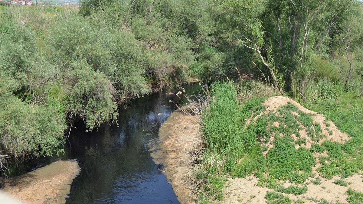 Gediz Nehri'ni atıklarla kirlettik