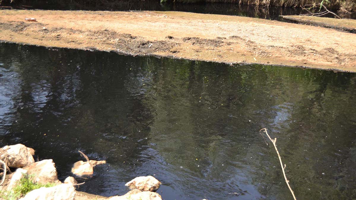 Gediz Nehri'ni atıklarla kirlettik