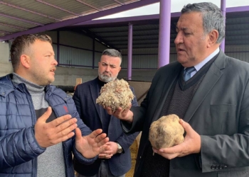 Çiftçilerin kredi borçlarına ait faizler silinmeli