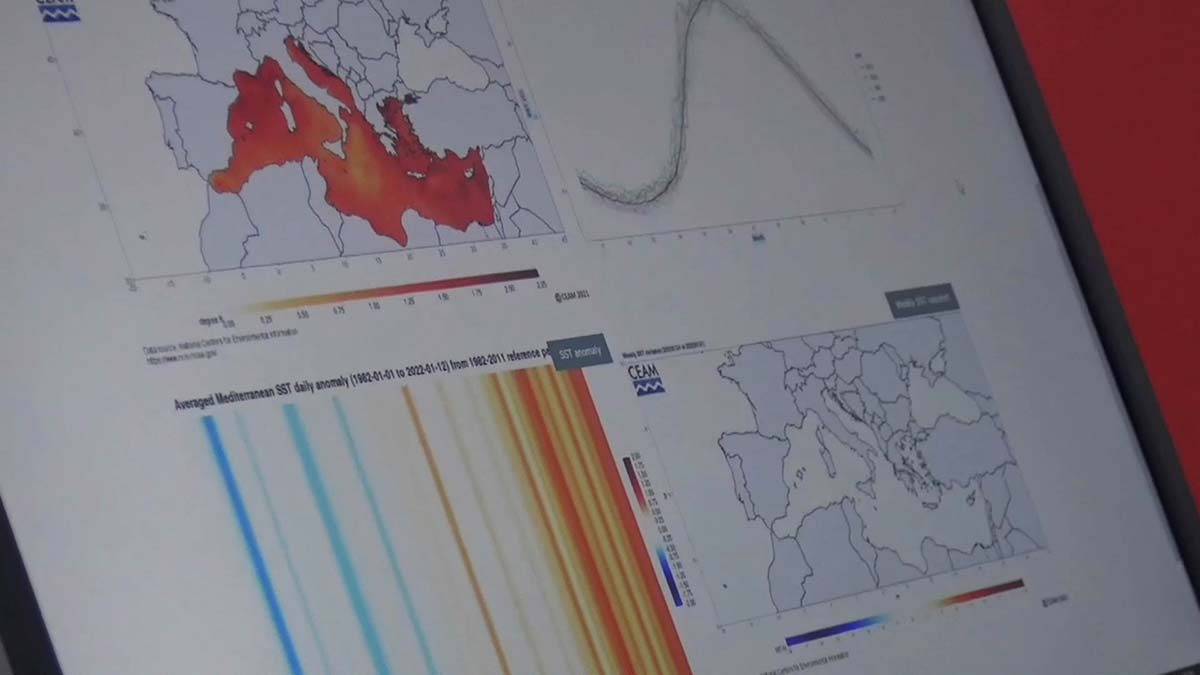 Deniz ısındıkça balıklar kuzeye kaçacak