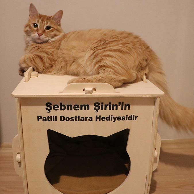 Furkan Zıbıncı (26) tarafından bıçaklanarak öldürülen Şebnem Şirin'in (26) acılı annesi Pervin Tokat; "Neyi, nasıl yapacağını düşünmüş. Telefonuna notlar yazmış. Yavruma uyurken kıymış" dedi.