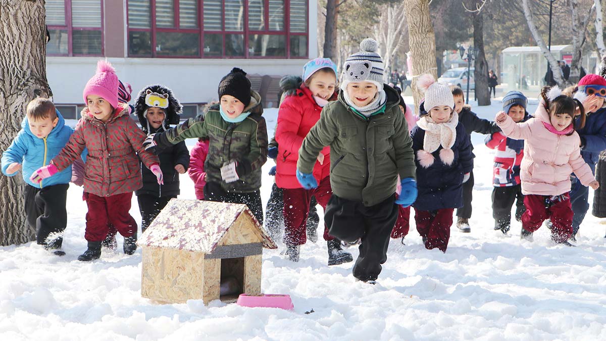 Öğrenciler kedi ve köpeklere ev yaptı
